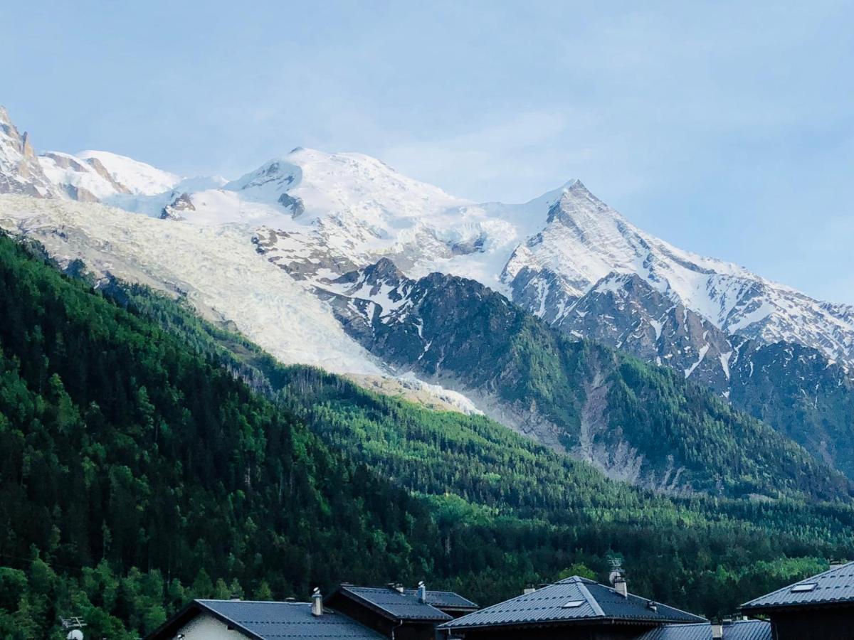Mont Blanc 43, Vue Mont Blanc , Balcon, Parking Chamonix Exterior foto