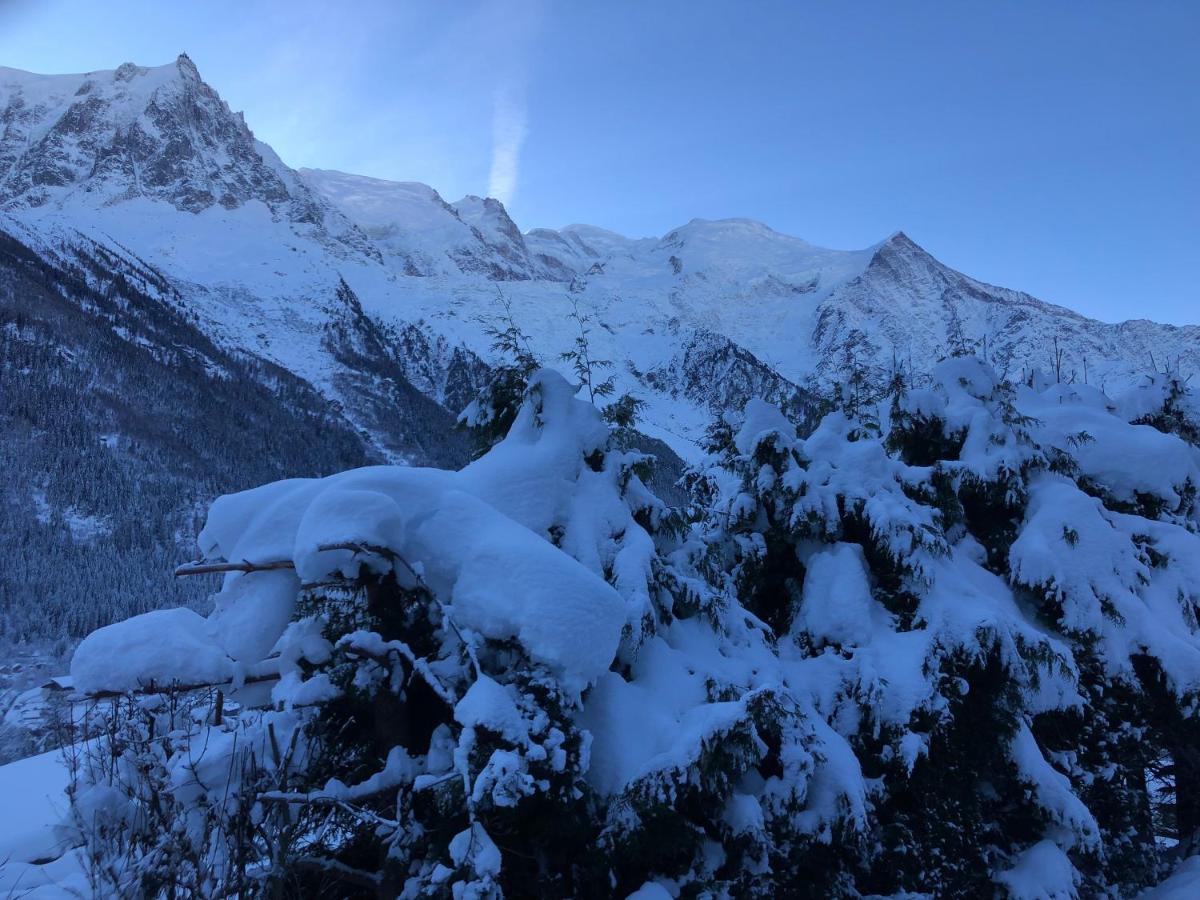 Mont Blanc 43, Vue Mont Blanc , Balcon, Parking Chamonix Exterior foto